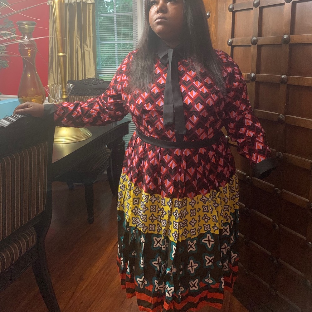 Long sleeve Multimedia Below knee dress.